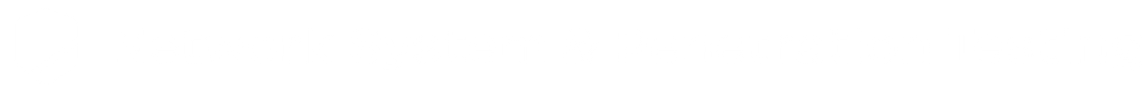 Network System & Penetration Testing